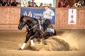 Reining Horse Champion